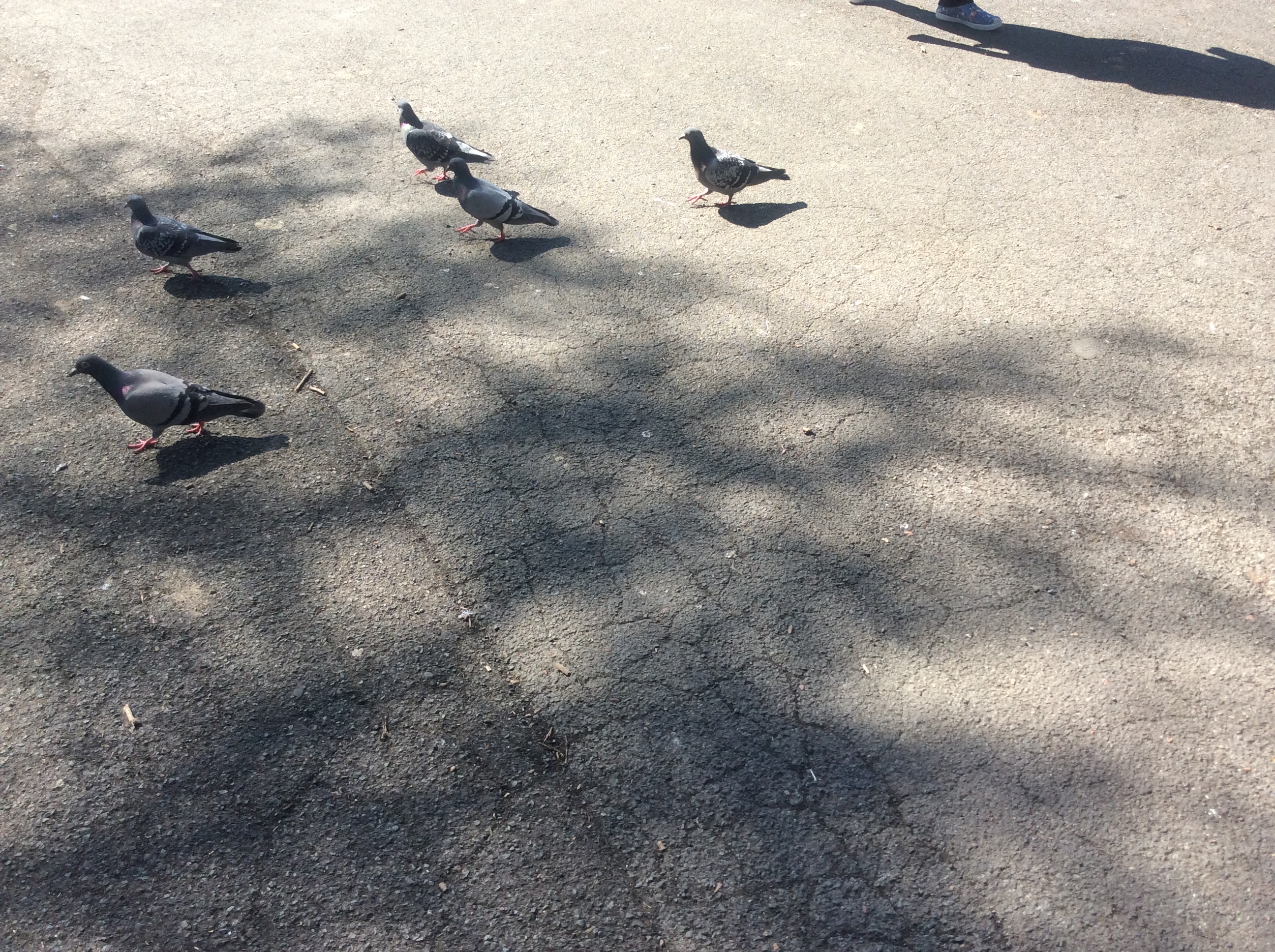 Img 0205 Manchester Libraries Blog